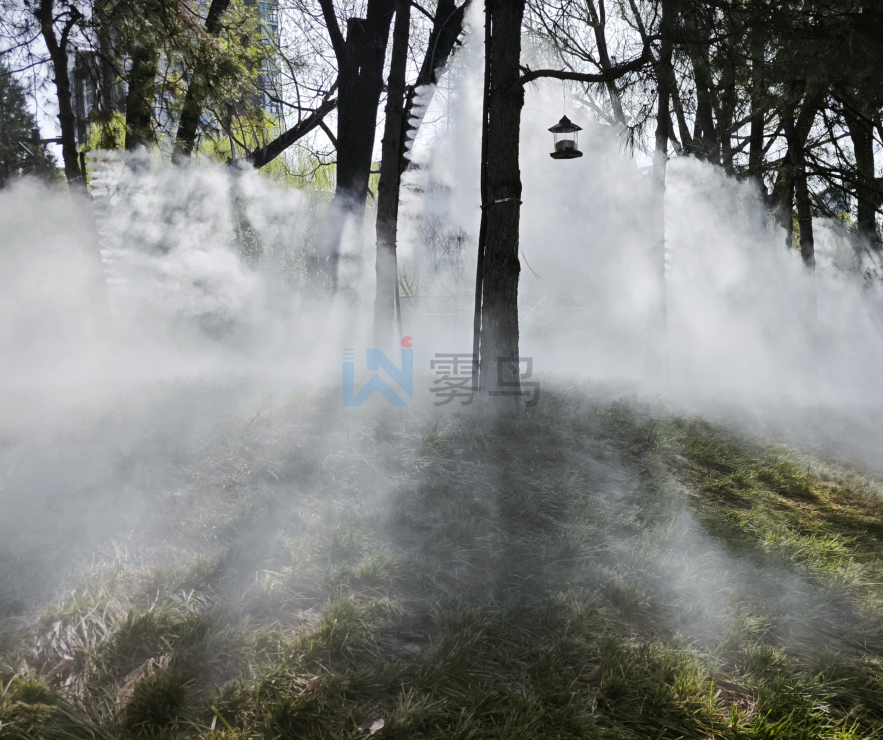 霧森系統?【必打卡】自帶濾鏡的“迷霧森林”，隨手一拍就是大片！